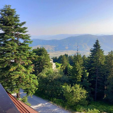 Hotel Molika Magarevo Dış mekan fotoğraf